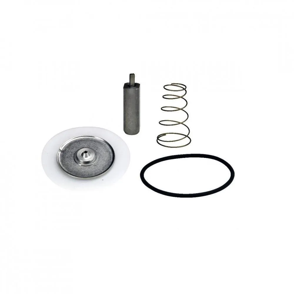 Repuesto, EV225 15 PTFE, Kit de servicio 032U3172 Tipo: Repuesto, Utilizado para el producto: EV225 15 PTFE, Designación de tipo: Kit de servicio, Kit de servicio Repuesto, EV225 15 PTFE, Kit de servicio 032U3172 Tipo: Repuesto, Utilizado para el producto: EV225 15 PTFE, Designación de tipo: Kit de servicio, Kit de servicio